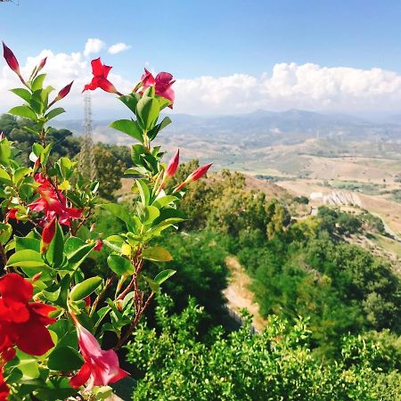 Nonnaninna B&B San Floro Εξωτερικό φωτογραφία